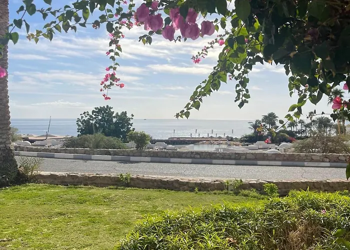 شقة Vista Mare Coral Bay Sheikh *