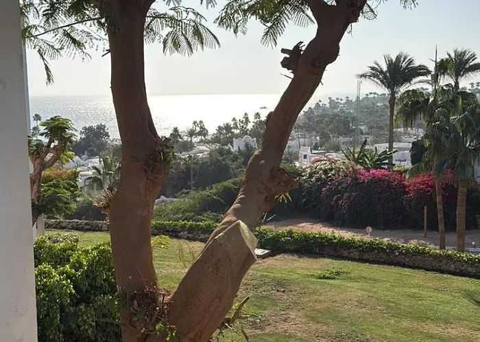Vista Mare Coral Bay Sheikh *